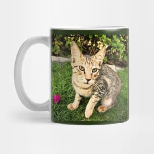 Smart Lovely Cat Mug